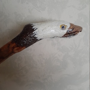 ISE added a photo of their purchase