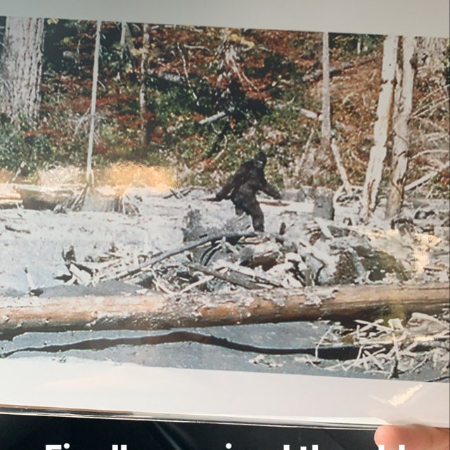 Patterson Film Bigfoot Patty Yeti Sasquatch Shot Glass LIMITED EDITION