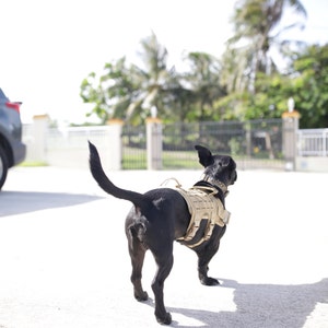 Harnais pour chien Collier de gilet de chien militaire avec pochette et  patch, pas de gilet tactique pour chien compatible avec un grand chien,  harnais pour chien d'assistance compatible W