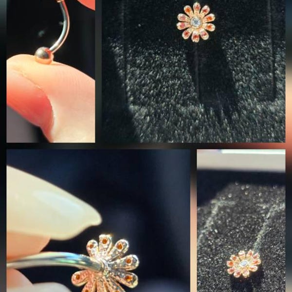 16g Teardrop Medusa Ring • Lippy Loop Labret • Surgical Steel Lip Ring ...