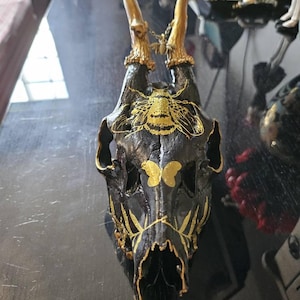 Nicole added a photo of their purchase