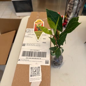 Sara heeft een foto van de aankoop toegevoegd