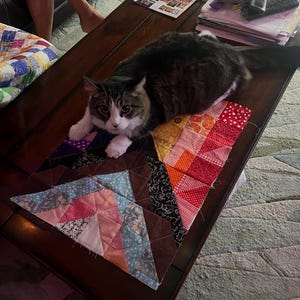 Maria added a photo of their purchase