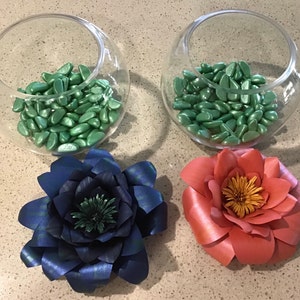 Catherine added a photo of their purchase