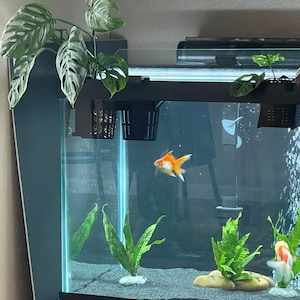kevin added a photo of their purchase