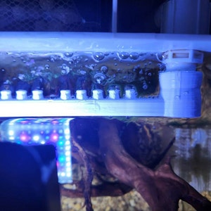 Angelina added a photo of their purchase