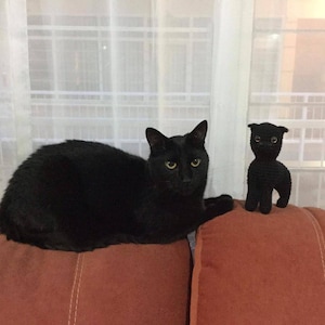 Monserrat added a photo of their purchase