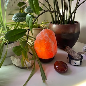 Nadia added a photo of their purchase