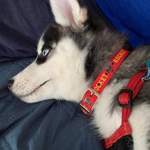 David added a photo of their purchase