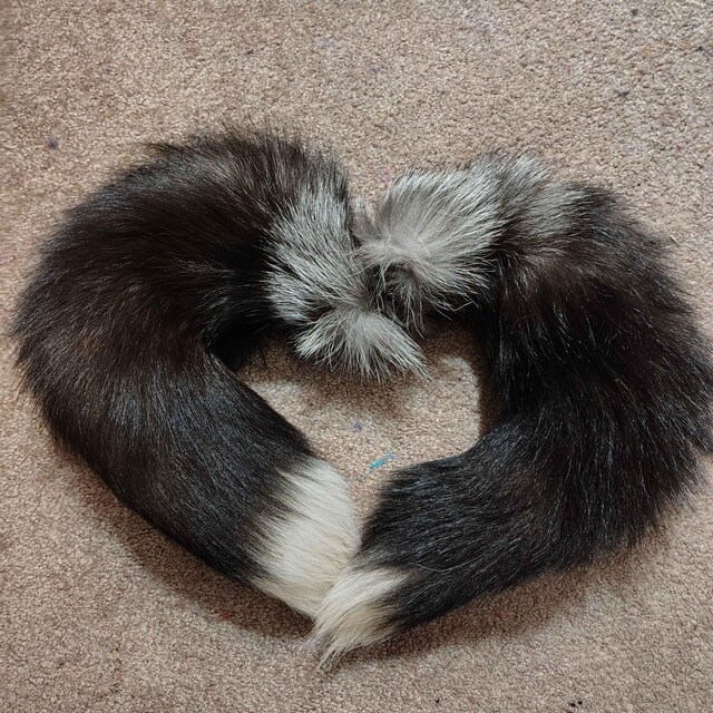 1 XXL Tanned Silver Fox Tail - 100% Real USA Fur For Crafts, Purses, And Decor