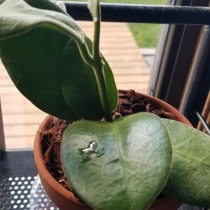 Dixie added a photo of their purchase