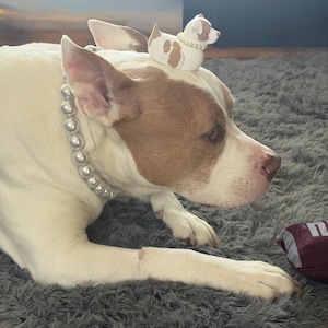 hatZ added a photo of their purchase