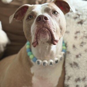 Kristin heeft een foto van zijn/haar aankoop toegevoegd