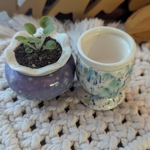 W. added a photo of their purchase