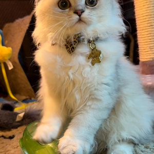 Lydia ha añadido una foto de su compra