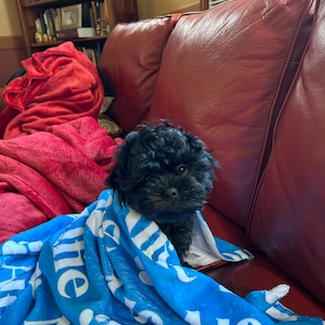 Elisabeth added a photo of their purchase