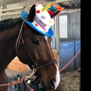 Birthday Hat for Horse or Pony with Candles Soft Equine | Etsy