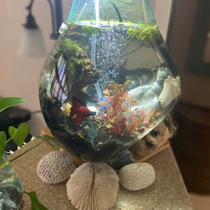 Katheen added a photo of their purchase