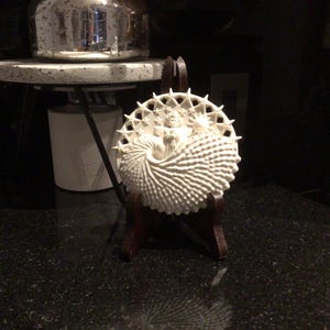 Christine added a photo of their purchase