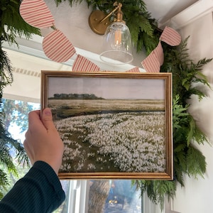 Sarah added a photo of their purchase