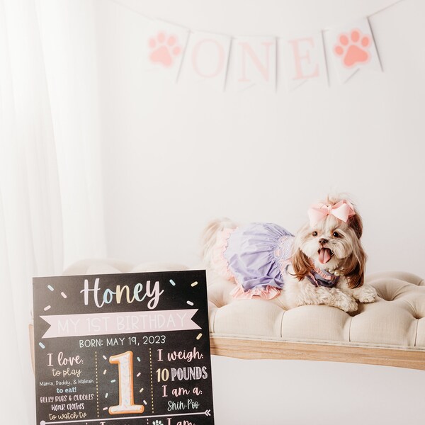 Race Cars or Ruffles Banner, Race Cars or Ruffles Gender Reveal, Race ...
