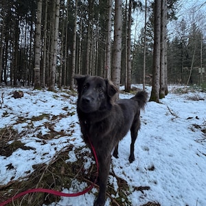 Phebe added a photo of their purchase
