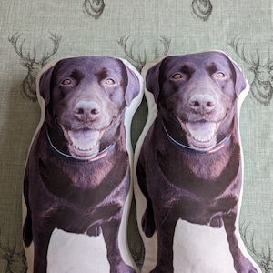 DONNA a ajouté une photo de son achat