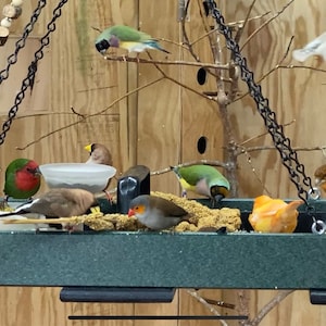 Jeffrey added a photo of their purchase