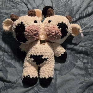 Elizabeth added a photo of their purchase