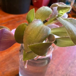 Catherine added a photo of their purchase