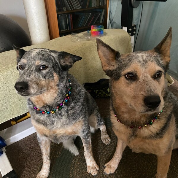 Handmade Mason Jar Lid Pumpkin Fall Decor Canning Ring Pumpkin Fall