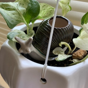 Kathy added a photo of their purchase