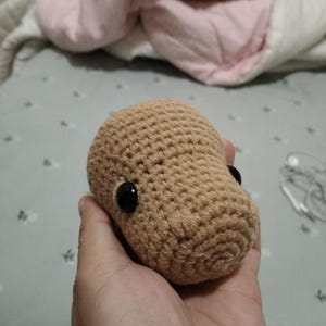 Amanda added a photo of their purchase