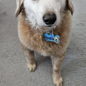 Andris added a photo of their purchase