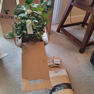 R.E. added a photo of their purchase