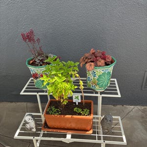 Jacqueline added a photo of their purchase