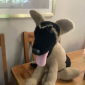 Ditsy added a photo of their purchase