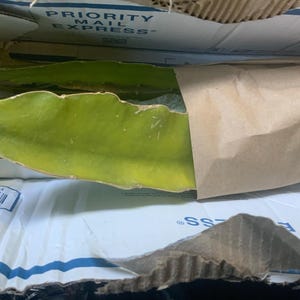 Winifred ha añadido una foto de su compra