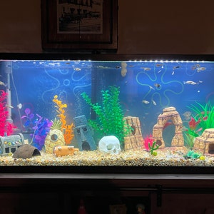 Aloha added a photo of their purchase