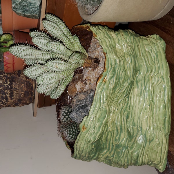 View of Handmade Ceramic Succulent Planter ~ the Tamara Piece - Etsy
