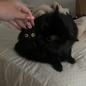Ciondolo in peluche a forma di gatto nero, 8 cm, nero, simpatico gatto