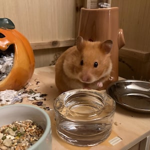 Claire added a photo of their purchase