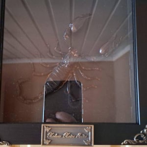 Jasmin added a photo of their purchase