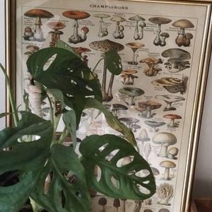 Etsy-koper heeft een foto van de aankoop toegevoegd