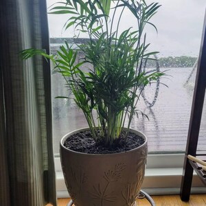 Sherri added a photo of their purchase