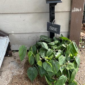 Mayte added a photo of their purchase