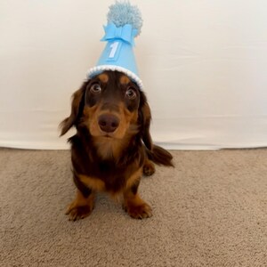 Comprador Etsy adicionaram uma foto da sua compra