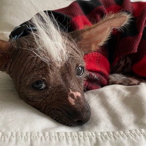 Cassandra added a photo of their purchase