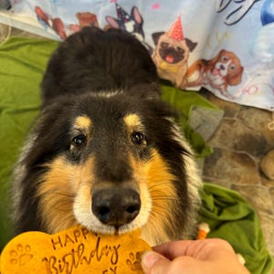 Eli added a photo of their purchase