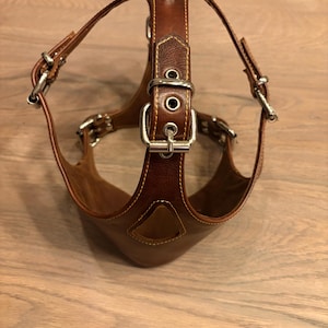 Gemini added a photo of their purchase